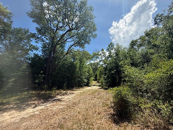 3rd image of 0 Wolf Ridge Rd