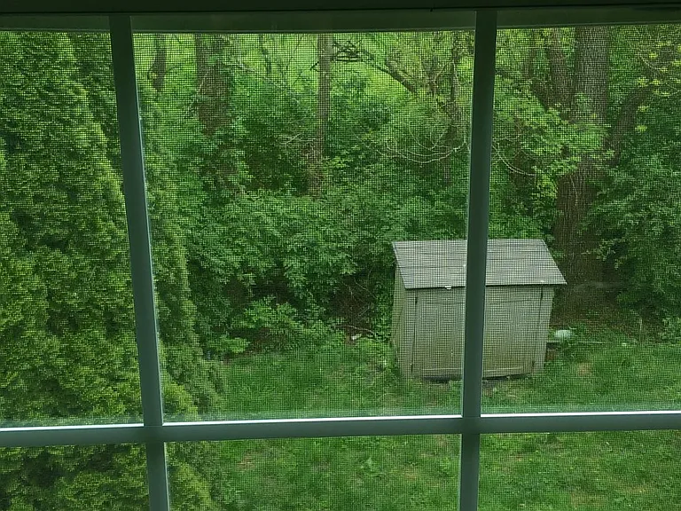 View from the second bedroom window.