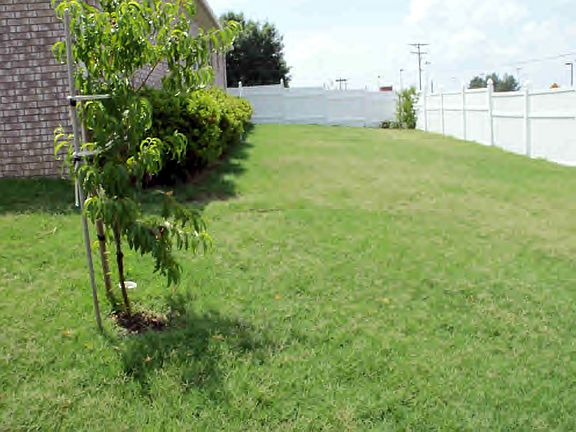4th image of 1526 Yorktown Dr