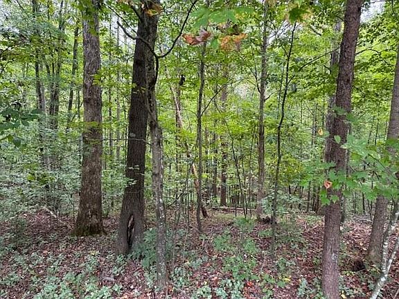 2nd image of 0 Corn Tassel Rd