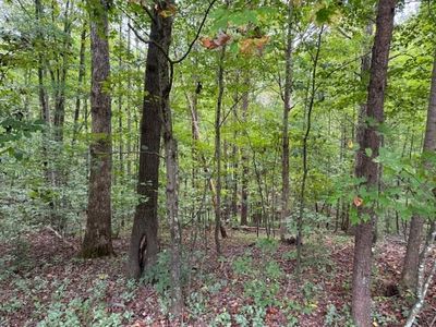 0 Adobe Ct, Danville, VA, 24540