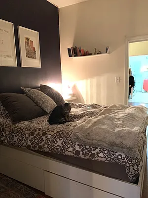 Rented by Nooklyn NYC LLC | media 34