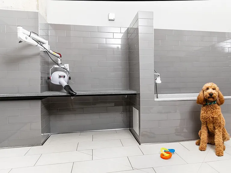 WAG pet spa