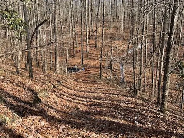 Pinney Pl, Monterey, TN 38574