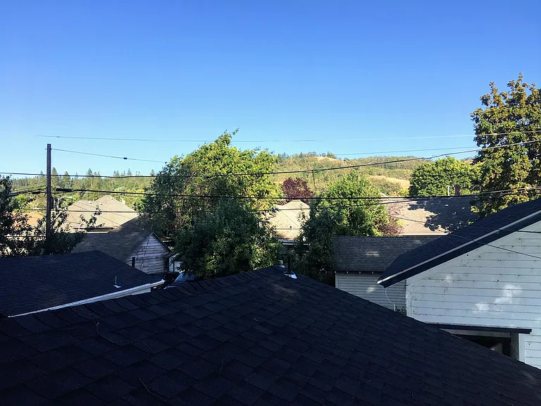 This is the view from out the window in the previous photo