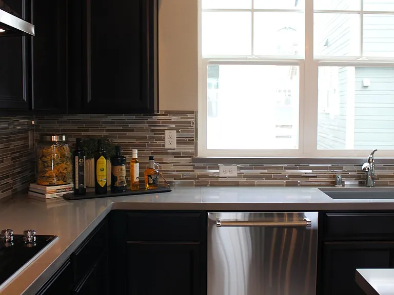 Dishwasher and Sink