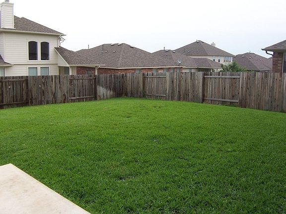 Large backyard