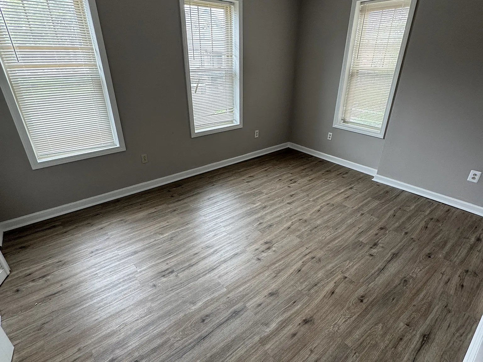 164 Babcock Street - 2N — Photo 3