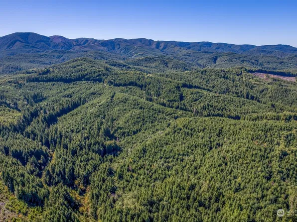 2 Dell Creek Mainline Road, Naselle, WA 98638