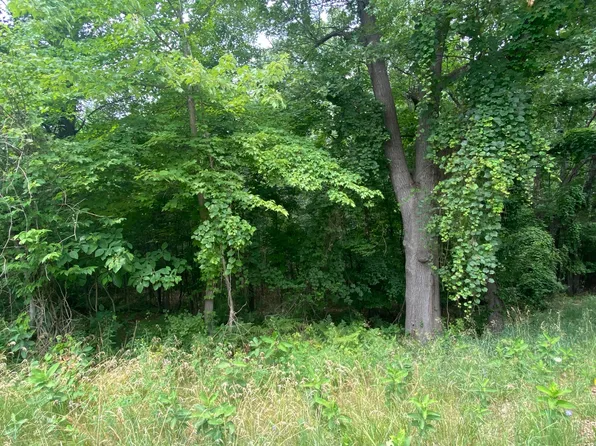 104th And McClelland, Grant, MI 49327