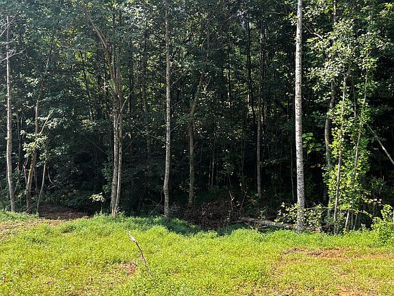 2nd image of 0 Speck Rd