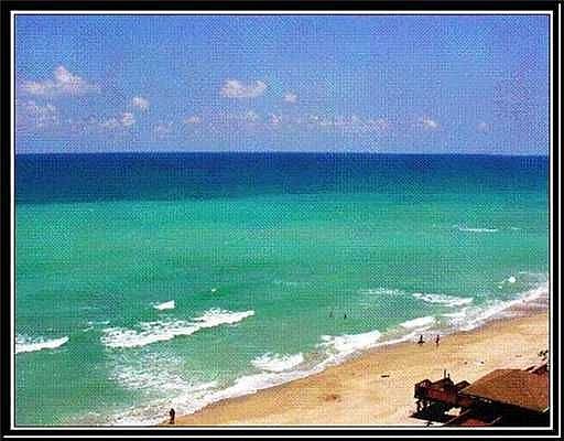 1st image of 10600 S Ocean Dr APT 1008