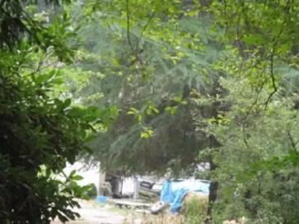 20817 NE Yacolt Mountain Rd, Yacolt, WA 98675