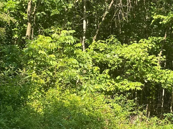 LOT 6 Clayspur Rd, Shirleysburg, PA 17260