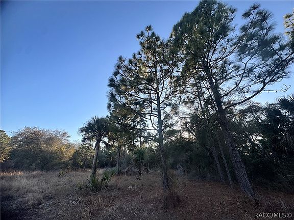 3rd image of 9632 N Cacalia Dr