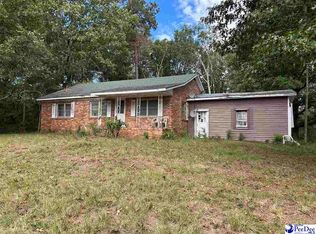 4466 Screw Pin Rd, Blenheim, SC 29516