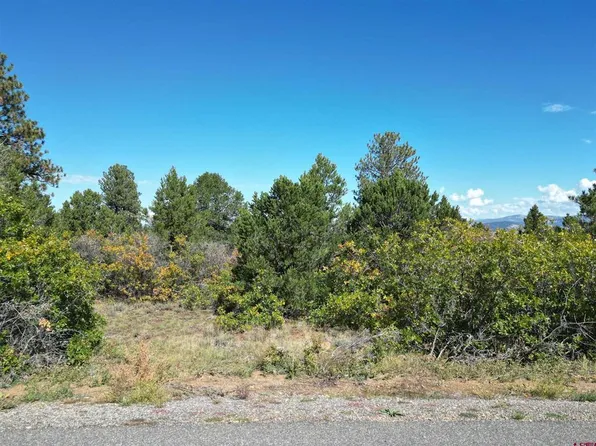 LOT 17 COTTONTAIL Lane, Ridgway, CO 81432