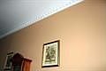 crown molding