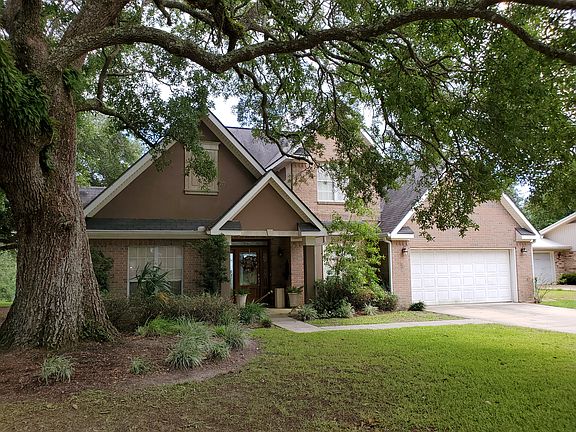 Majestic old oak tree in your front yard