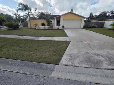 5405 Fulmar Dr, Tampa, FL, 33625