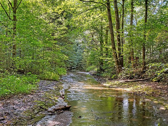 5th image of 599 Jake Rockwell Rd