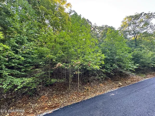 626 N Pointe Trl, Allons, TN 38541