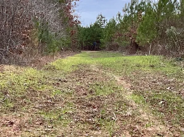 Fm 134, Waskom, TX 75692