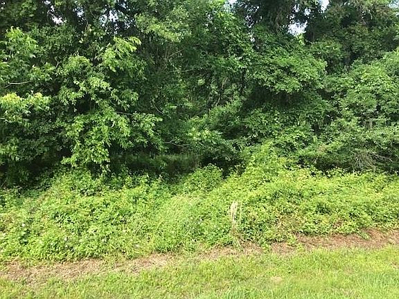 4th image of 3603 Wellspring Lake Dr