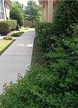 1st image of 16100 Great Oaks Dr #3903