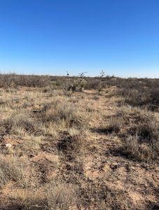 Klein Ct, Clint, TX, 79836