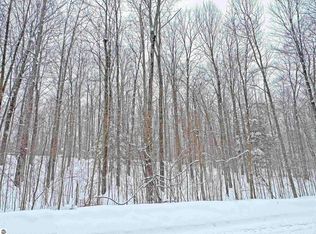 0 Ryan Rd, Honor, MI 49640