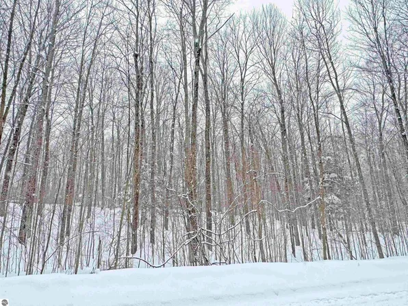 0 Ryan Rd, Honor, MI 49640