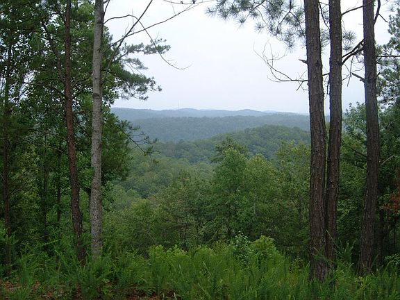 3rd image of 306 Oberlin Ct