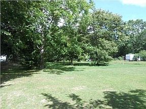 pecan trees in the back and a large yard