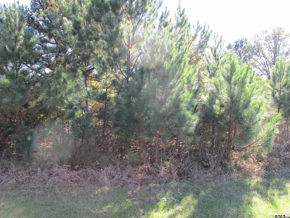 2nd image of Rs County Rd #3210