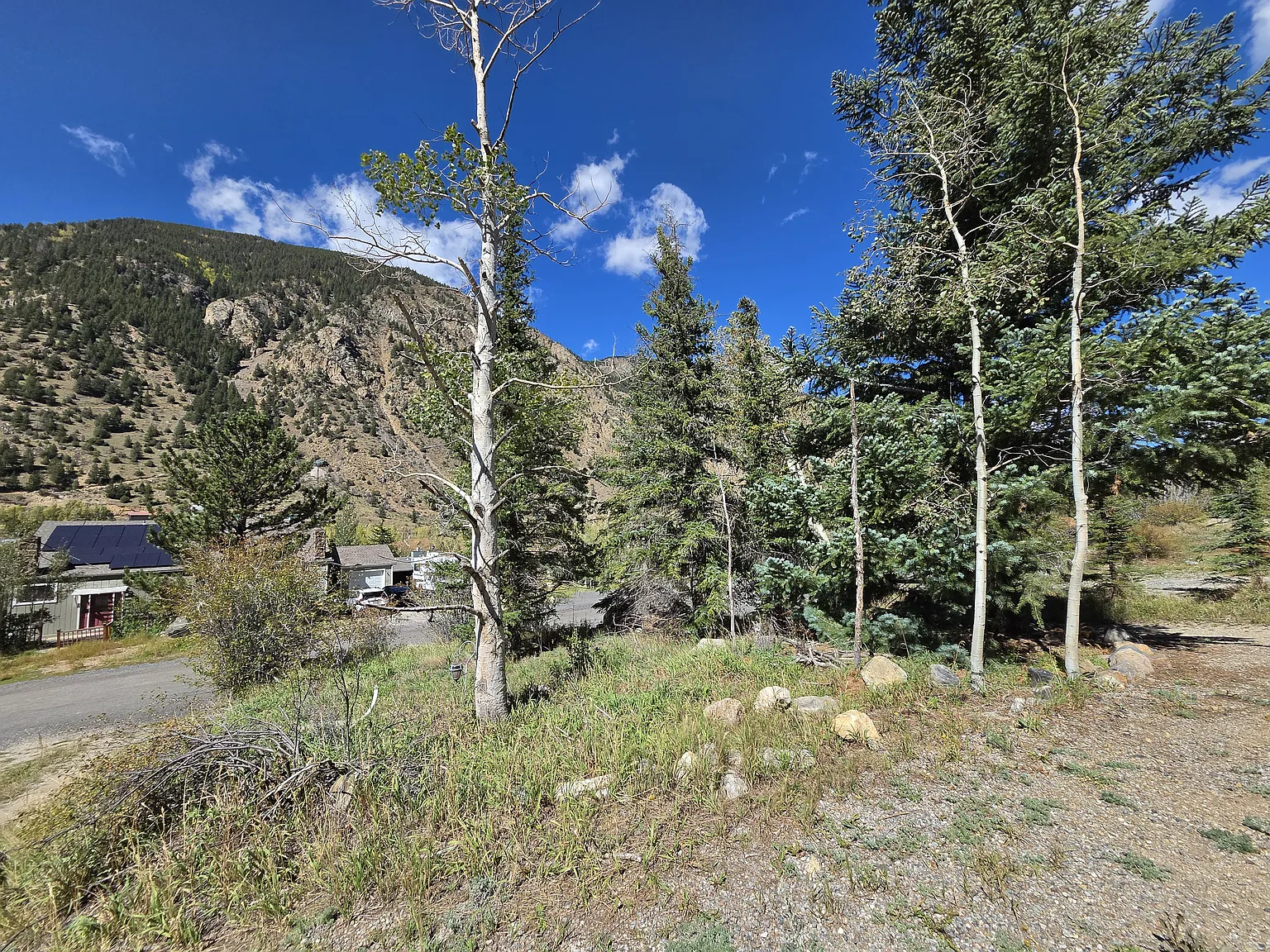 2 bed, 1.5 bath, 966 sqft, $2,000 — Photo 3