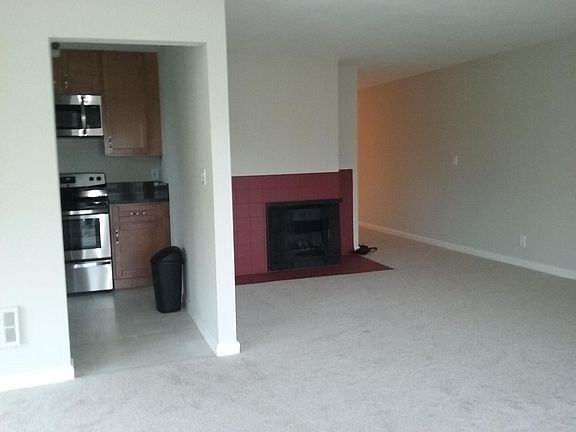 Fireplace/kitchen entry