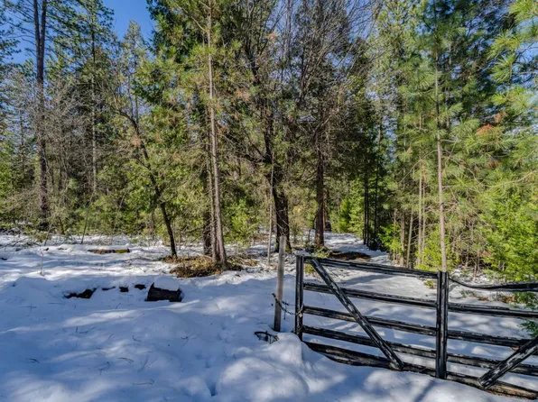 4801 Blue Mountain Rd, Wilseyville, CA 95257