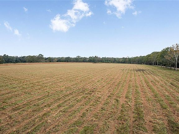 2nd image of 12294 Quaglino Rd