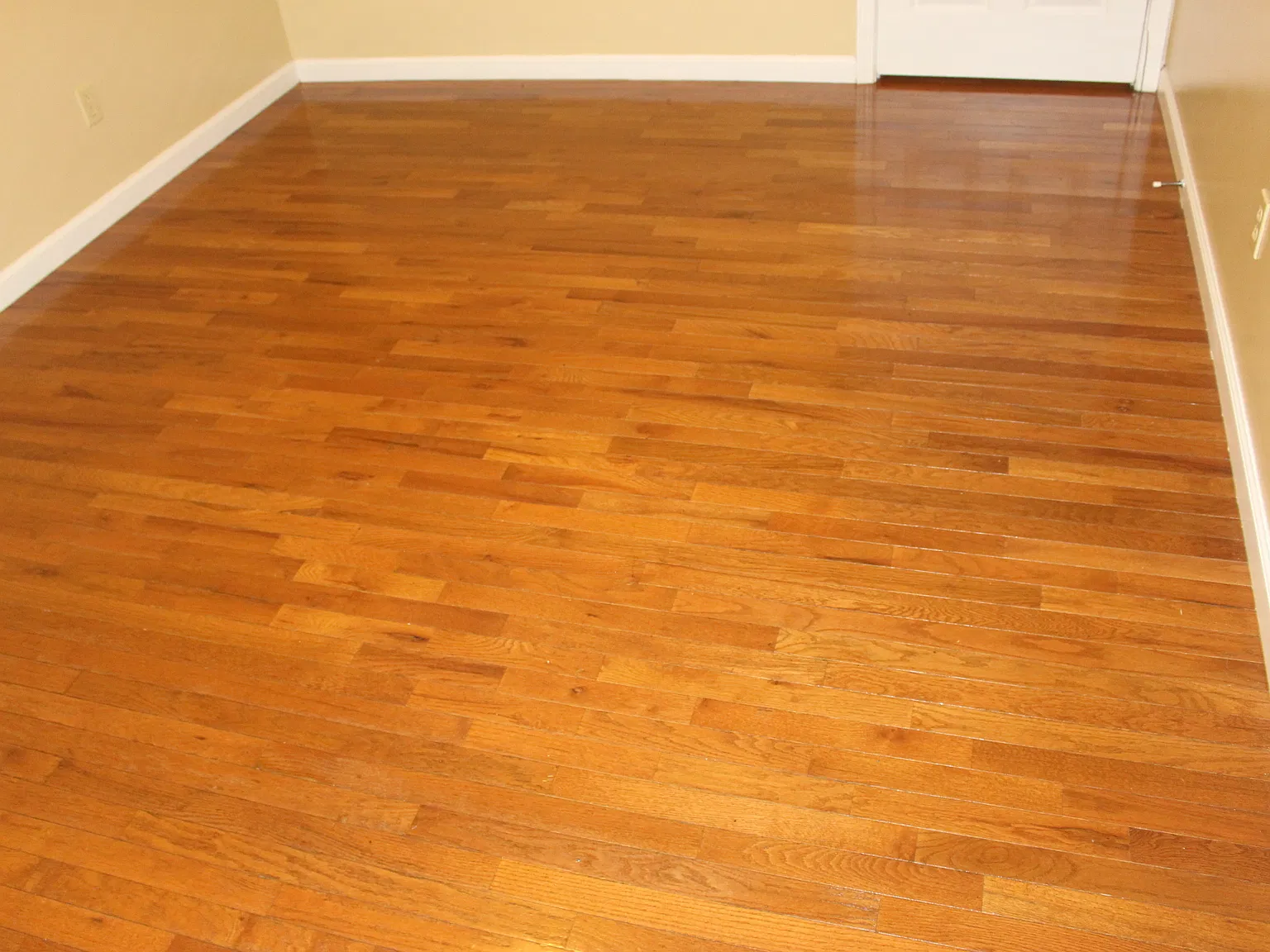331 American Avenue - 1 — Photo 3
