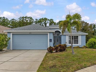 2725 Dolphin Watch Ct, Holiday, FL, 34691