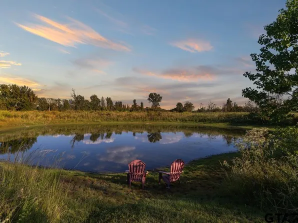 661 Vz County Road 4406, Ben Wheeler, TX 75754