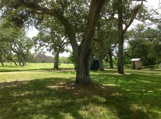 19358 Bull Rd, Brazoria, TX 77422