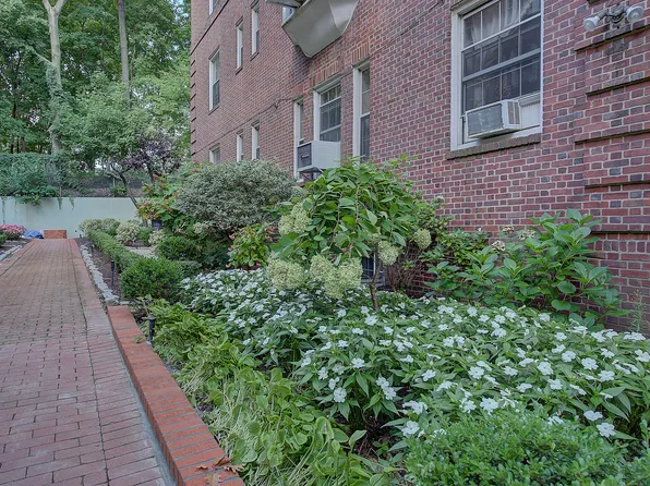 117-01 Park Lane South image 33 of 34