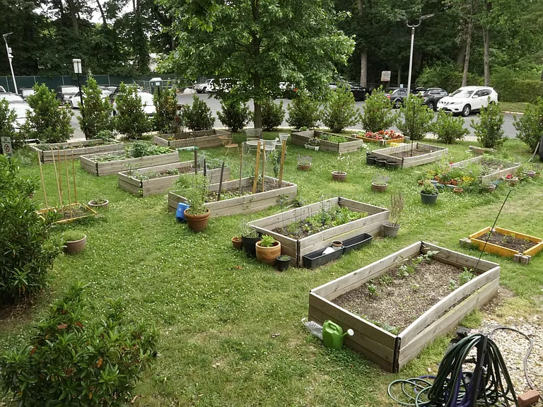 Community garden with raised beds