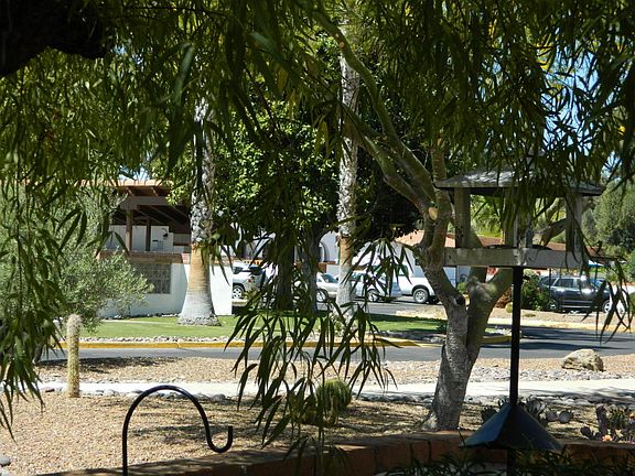 4th image of 445 S Paseo Pena