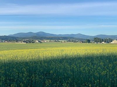 E Peone Rd, Mead, WA, 99021