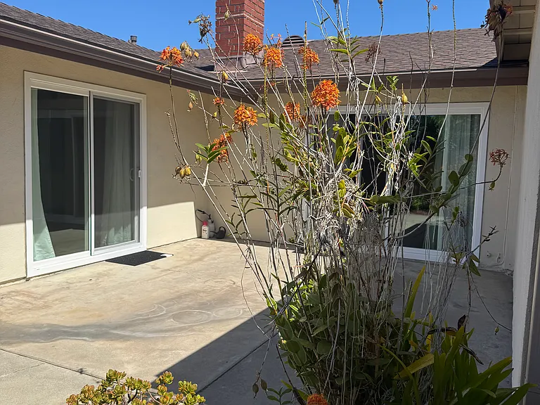 9842 Verde Mar Dr — Photo 35