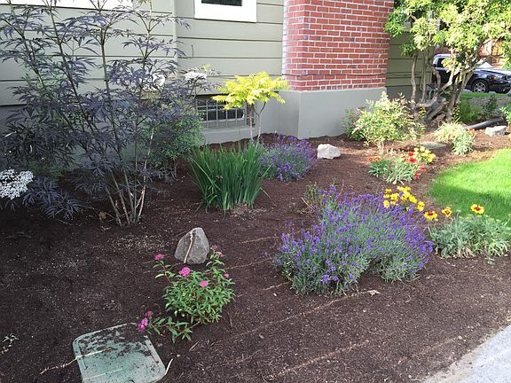 Plantings