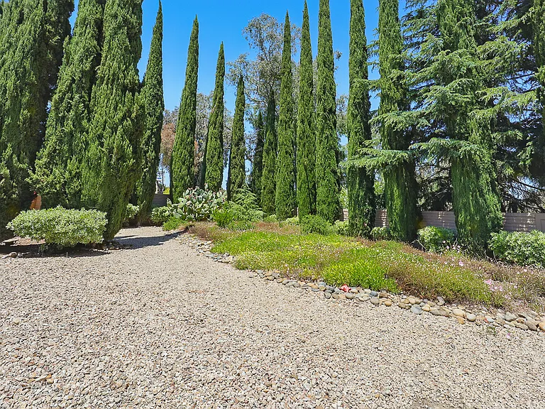 Outdoor Common Space